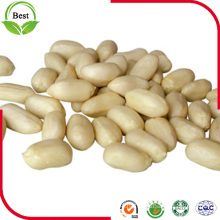 Wholesale 25/29 Blanched Peanut Kernels